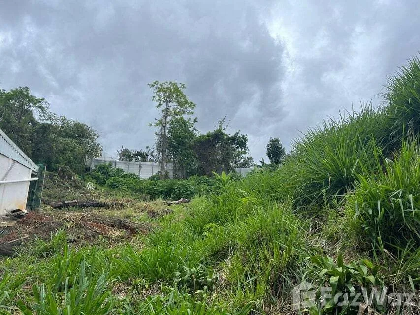 Land for Sale in Tarrazu, San Jose for $550,000