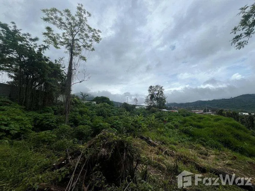Land for Sale in Tarrazu, San Jose for $549,000 — photo 2