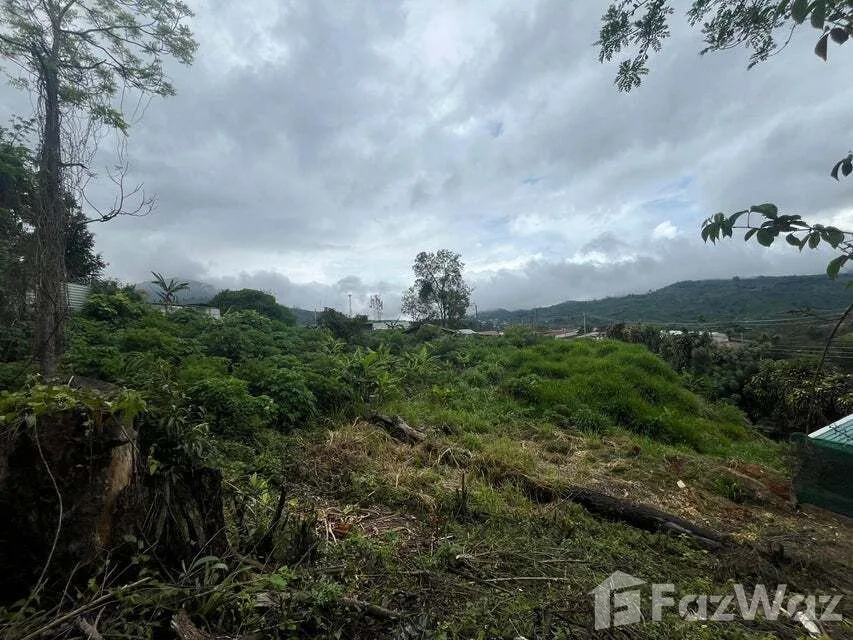 Land for Sale in Tarrazu, San Jose for $549,000 — photo 3