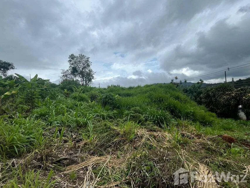 Land for Sale in Tarrazu, San Jose for $549,000 — photo 4