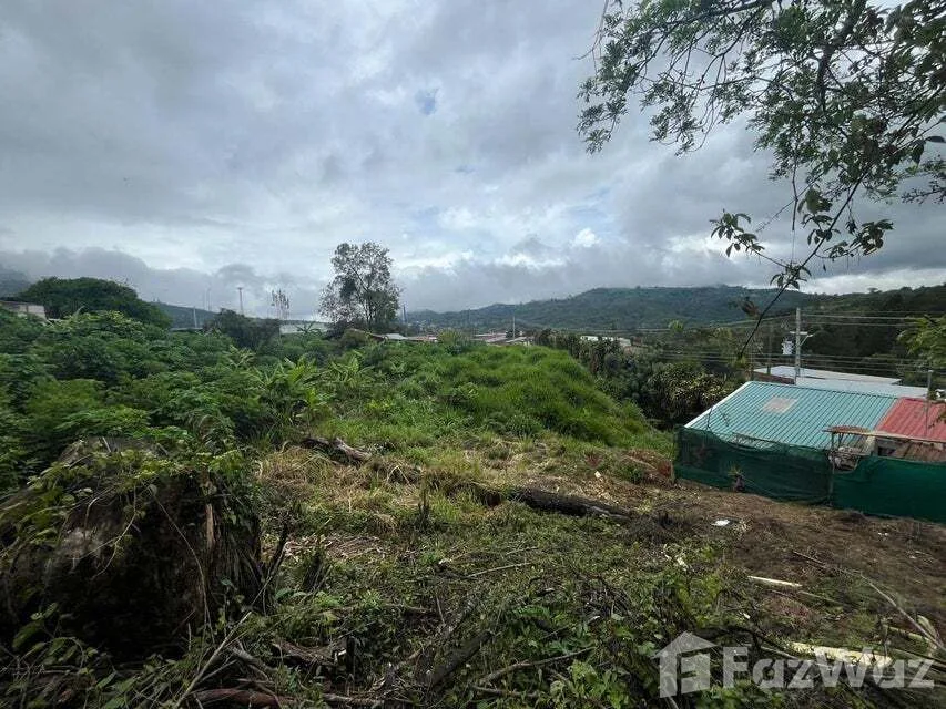 Land for Sale in Tarrazu, San Jose for $549,000 — photo 5