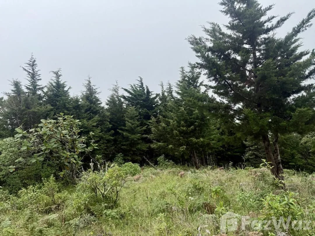 Land for Sale at HEREDIA for $88,000