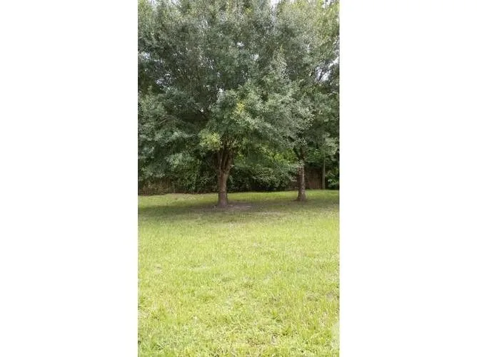 Land for Sale at Limón for $550,000