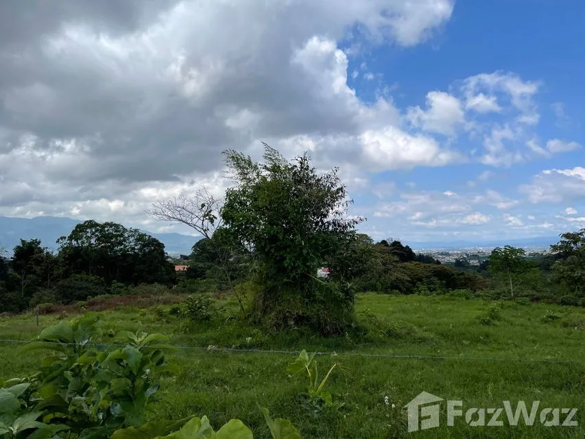 Land for Sale at Montes de Oca for $750,000 — photo 2