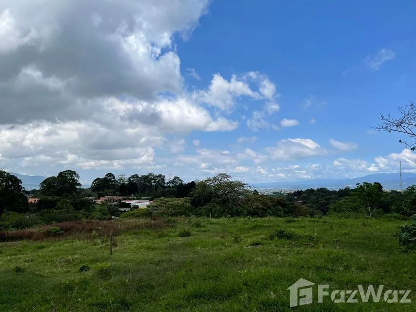 Land for Sale at Montes de Oca for $750,000 — photo 4