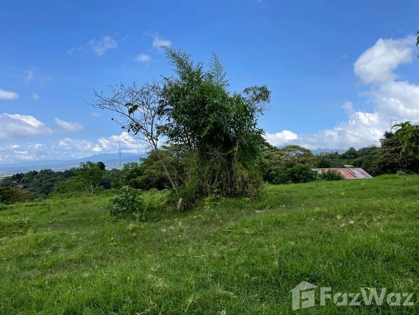 Land for Sale at Montes de Oca for $750,000 — photo 5