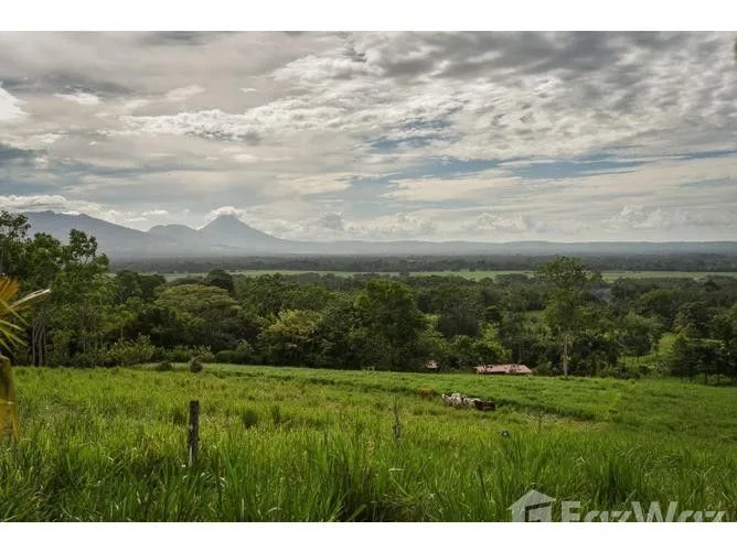 Land for Sale in San Carlos, Alajuela for $600,000