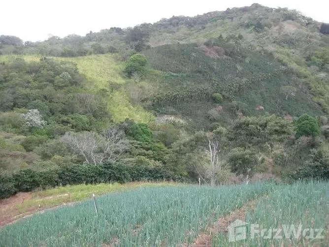 Land for Sale in Santa Ana, San Jose for $95,000