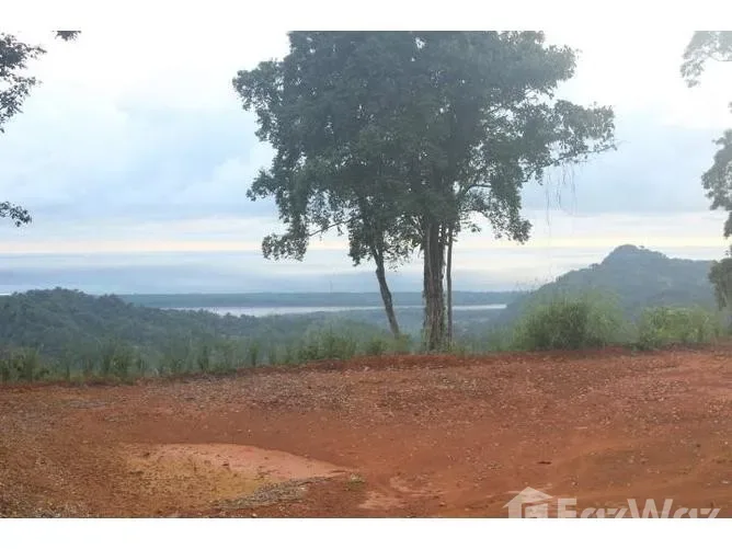 Land for Sale in Osa, Puntarenas for $219,000