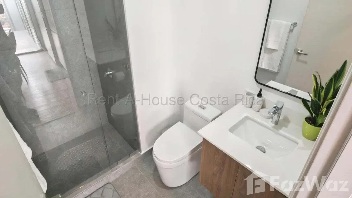 Loft for rent in Sabana, Rohrmoser. San José — photo 3