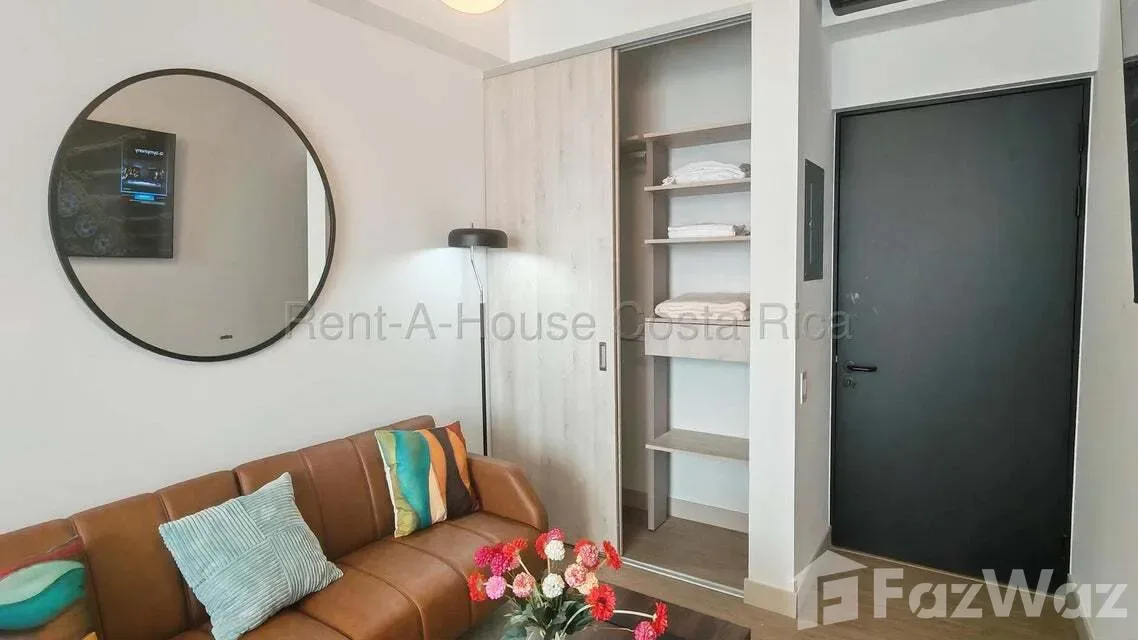 Loft for rent in Sabana, Rohrmoser. San José — photo 4