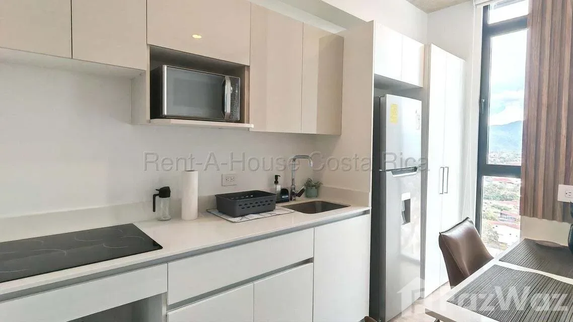 Loft for rent in Sabana, Rohrmoser. San José — photo 5