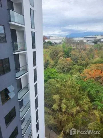 2 Bedroom Condo for Rent at Sabana for $1,600/mo