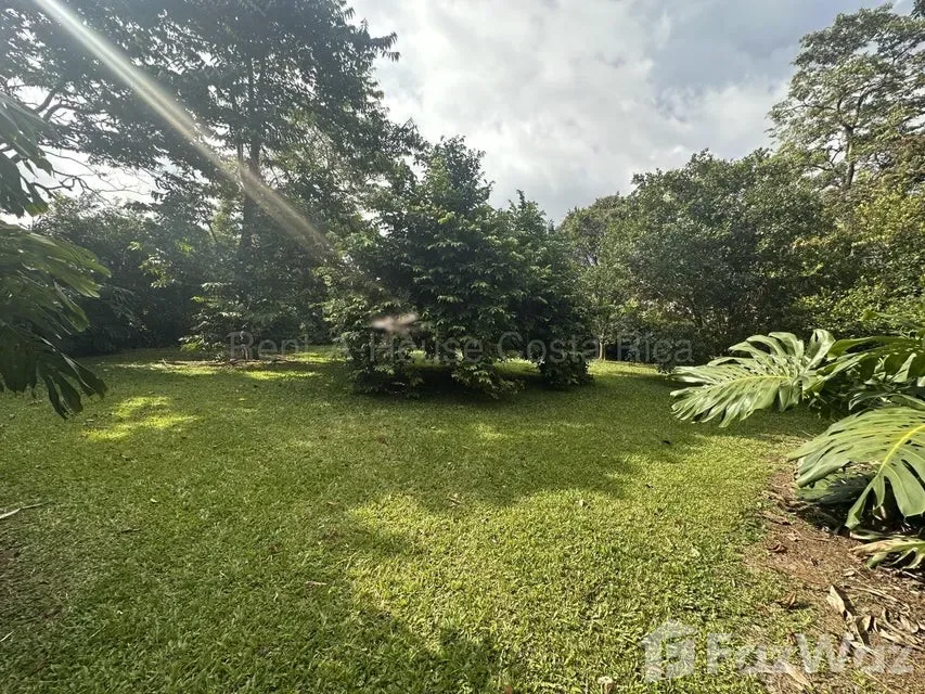 Land for Sale at Paseo Colon for $248 — photo 2
