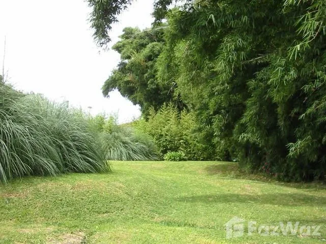 5 Bedroom House for Sale in Goicoechea, San Jose for $850,000 — photo 2
