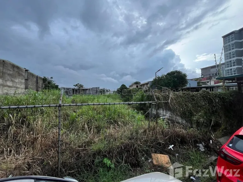 Land for Sale at Zapote for $245,000 — photo 2