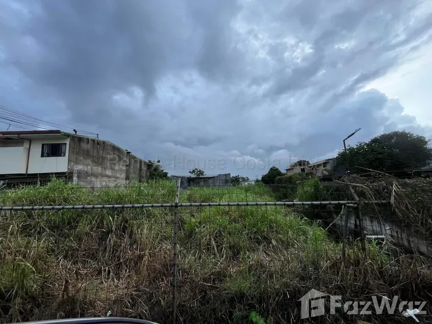 Land for Sale at Zapote for $245,000 — photo 3