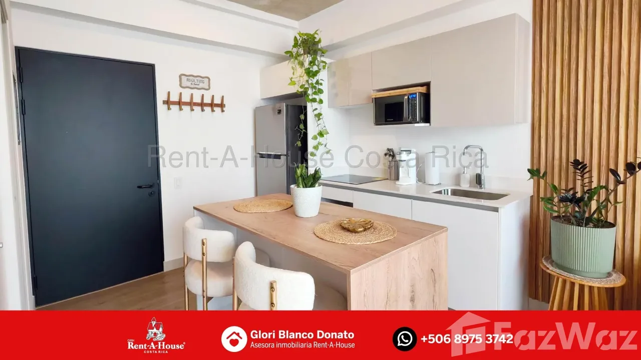 1 Bedroom Apartment for Rent at SAN JOSE for $1,250/mo