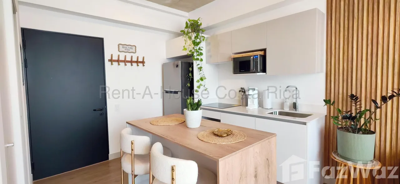 1 Bedroom Apartment for Rent at SAN JOSE for $1,250/mo — photo 2