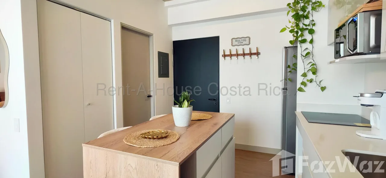 1 Bedroom Apartment for Rent at SAN JOSE for $1,250/mo — photo 3