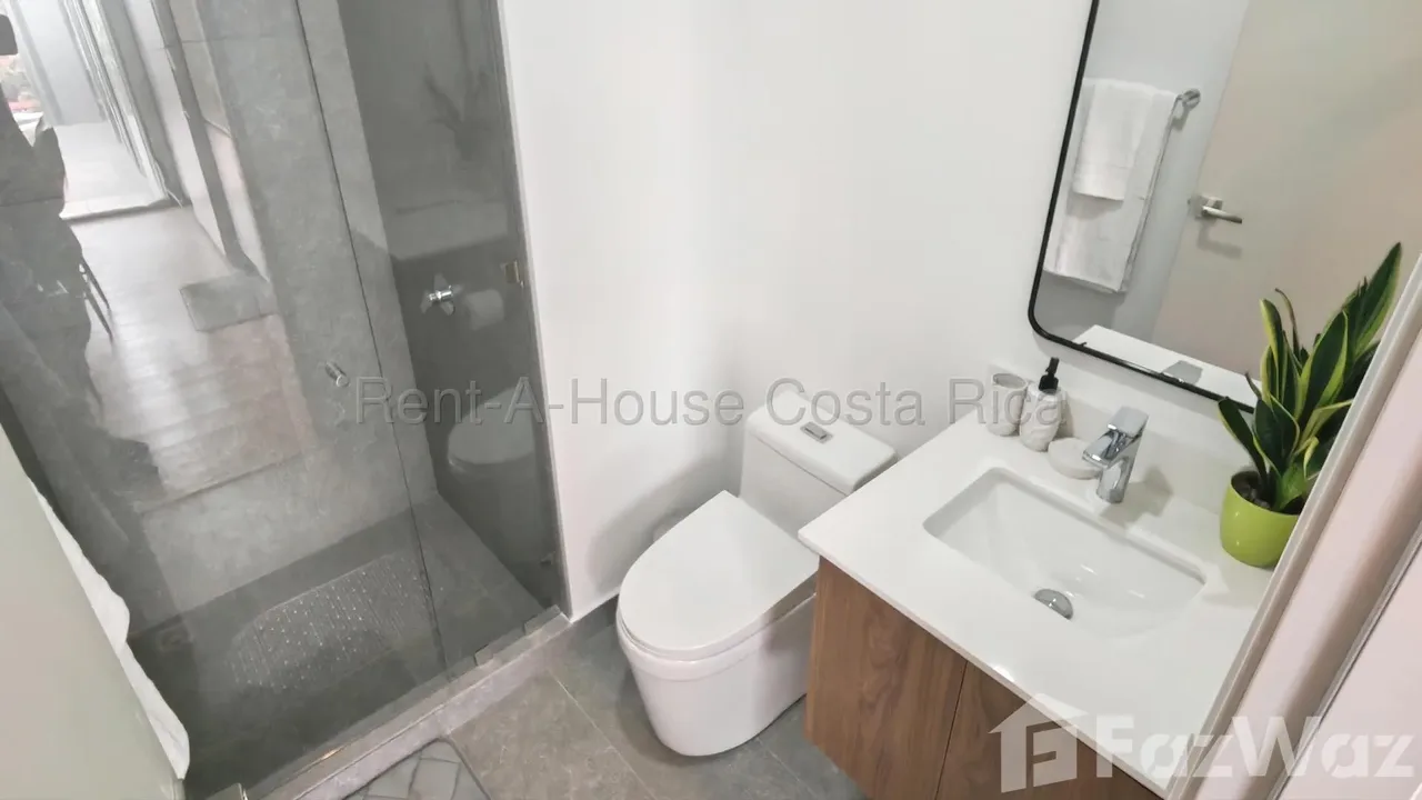 Studio Apartment for Rent at SAN JOSE for $1,200/mo — photo 3