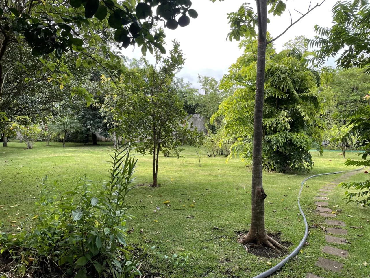 Luxury Homesite on Creek in Exclusive Oro del Rio Condominium