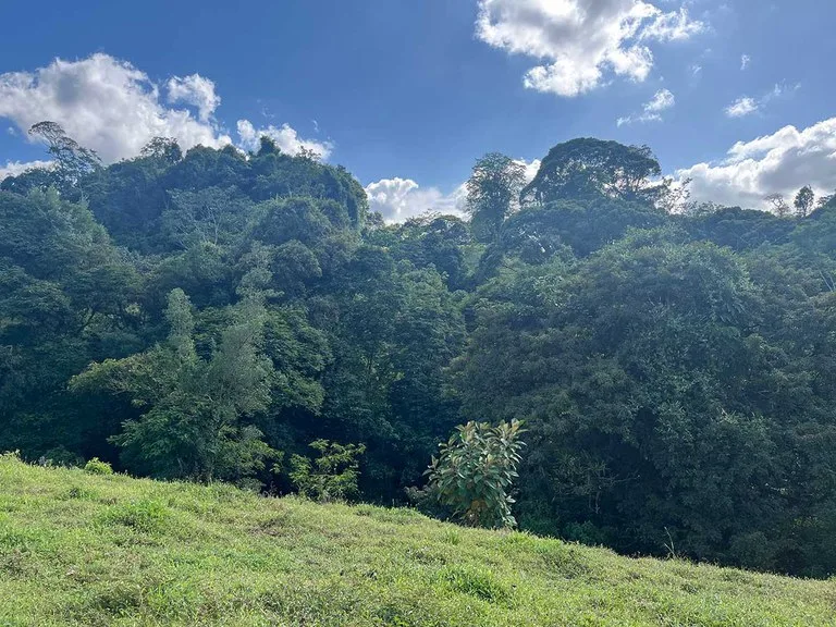 Agricultural Land in Horquetas