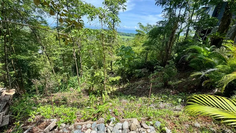 Home Construction Site in Uvita — photo 3