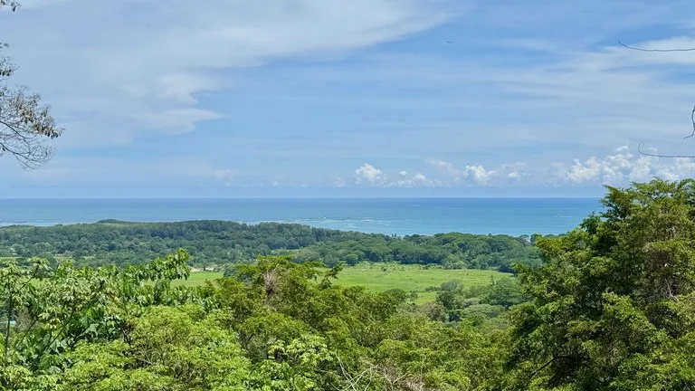Home Construction Site in Uvita — photo 5