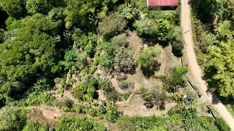 Agricultural Land in Platanillo de Dominical