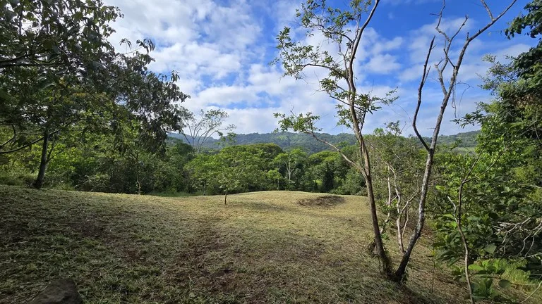 Agricultural Land in Barú