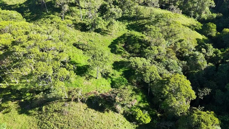 Agricultural Land in El General