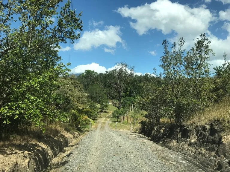 Agricultural Land in San Isidro