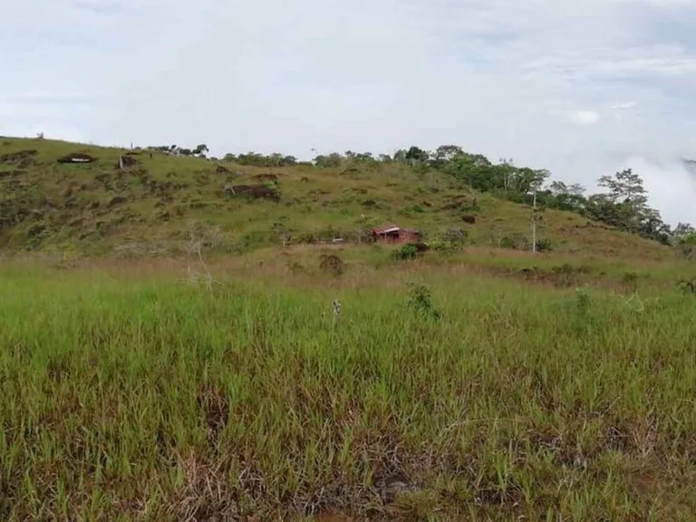 Development Parcel in Sonador