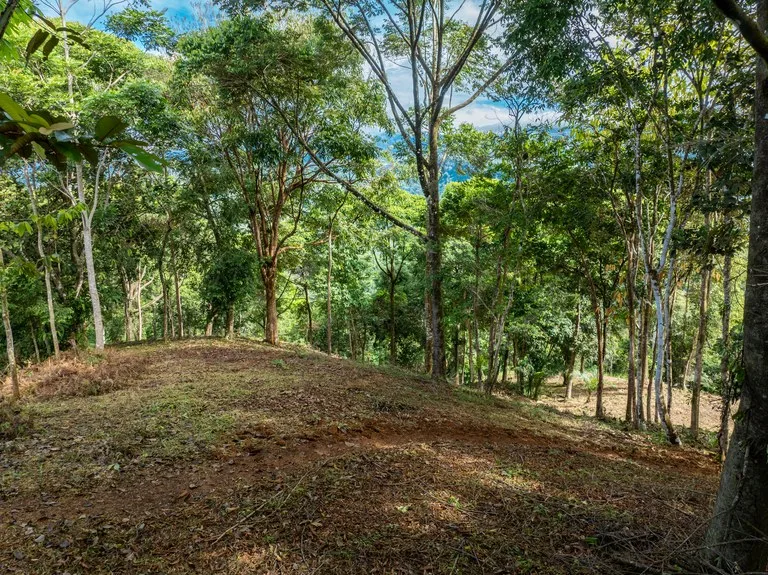 Home Construction Site in Dominical