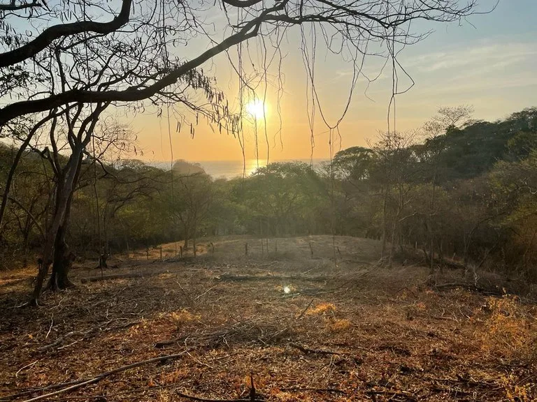 Agricultural Land in Playa Real