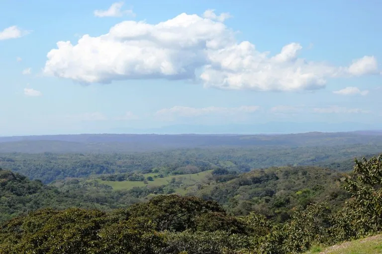 Agricultural Land in Turrubares — photo 4