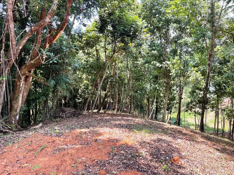 Home Construction Site in Barú