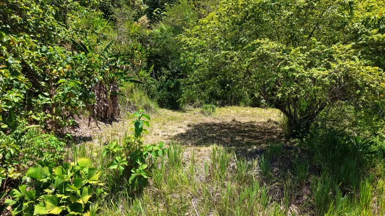 Home Construction Site in Ciudad Cortés