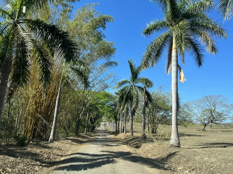Home Construction Site in Nacascolo