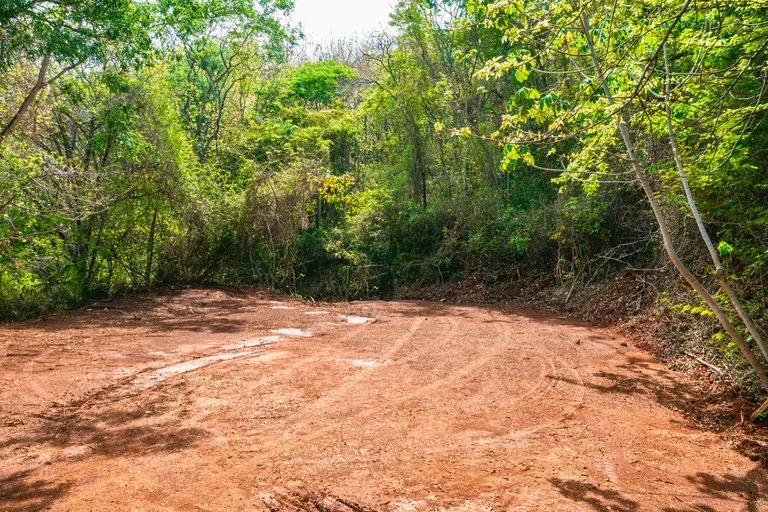 Agricultural Land in Playa Tamarindo