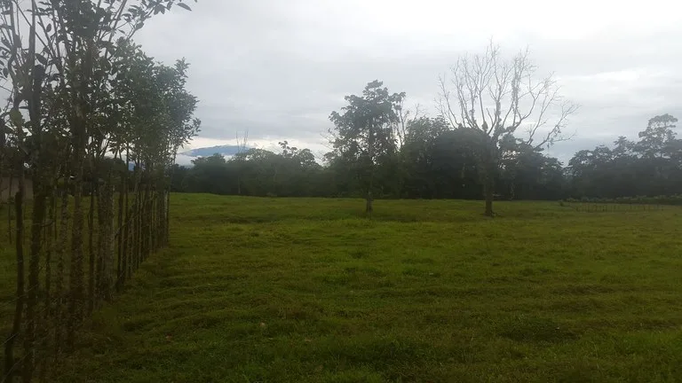 Development Parcel in Cariari