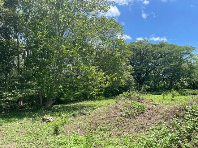 Agricultural Land in Guardia