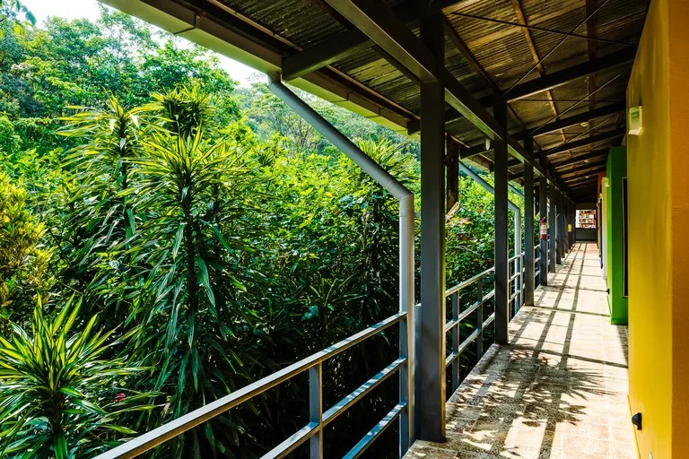 Hotel/Resort/Hostel in Bijagua