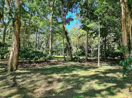 Home Construction Site in Cahuita