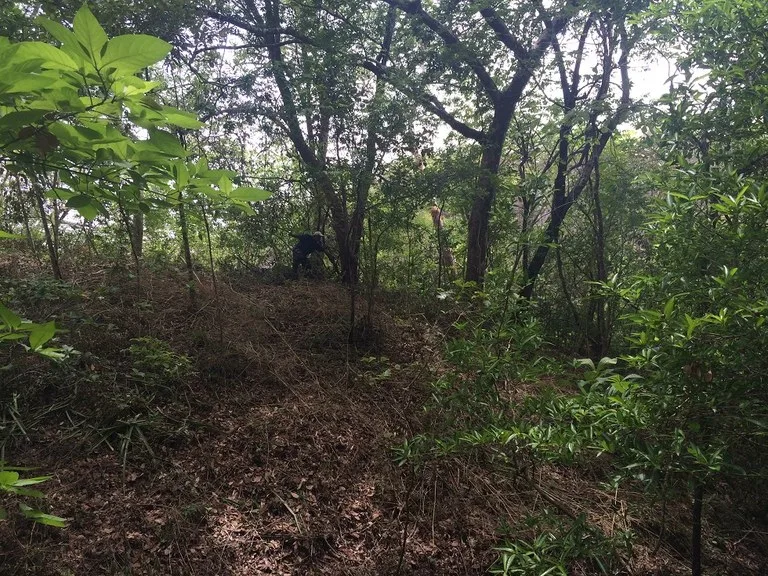 Agricultural Land in El Salto
