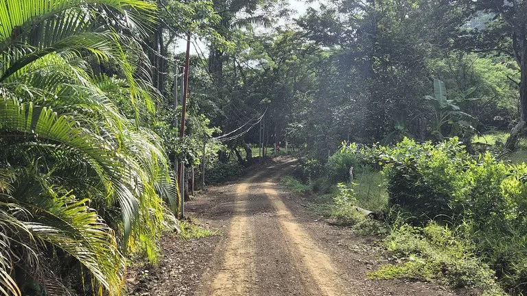 Home Construction Site in Playa Samara
