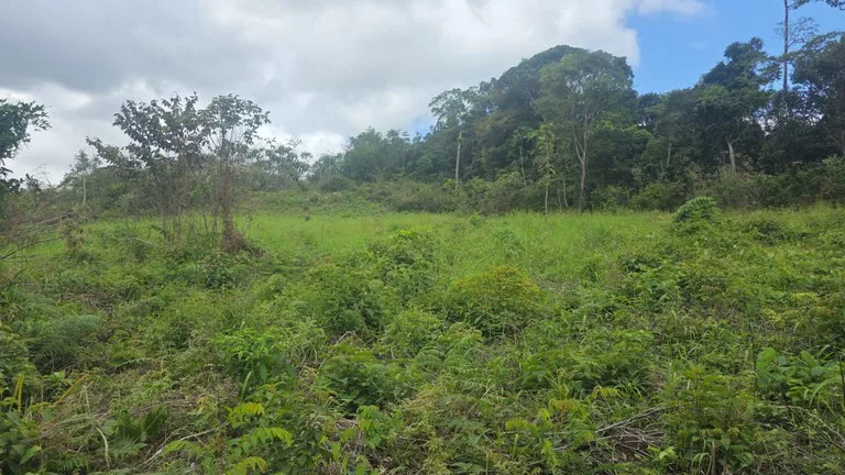 Agricultural Land in Las Brisas