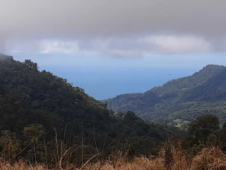 Agricultural Land in Uvita