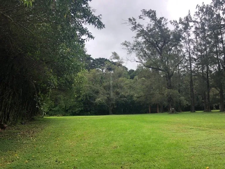 Agricultural Land in Angeles